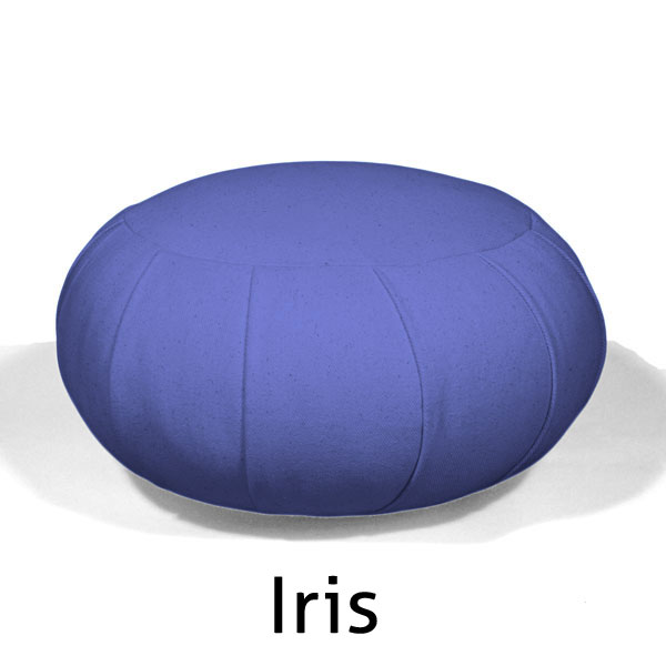 キョン様bfgf クッション ZFE-1-Iris.jpeg